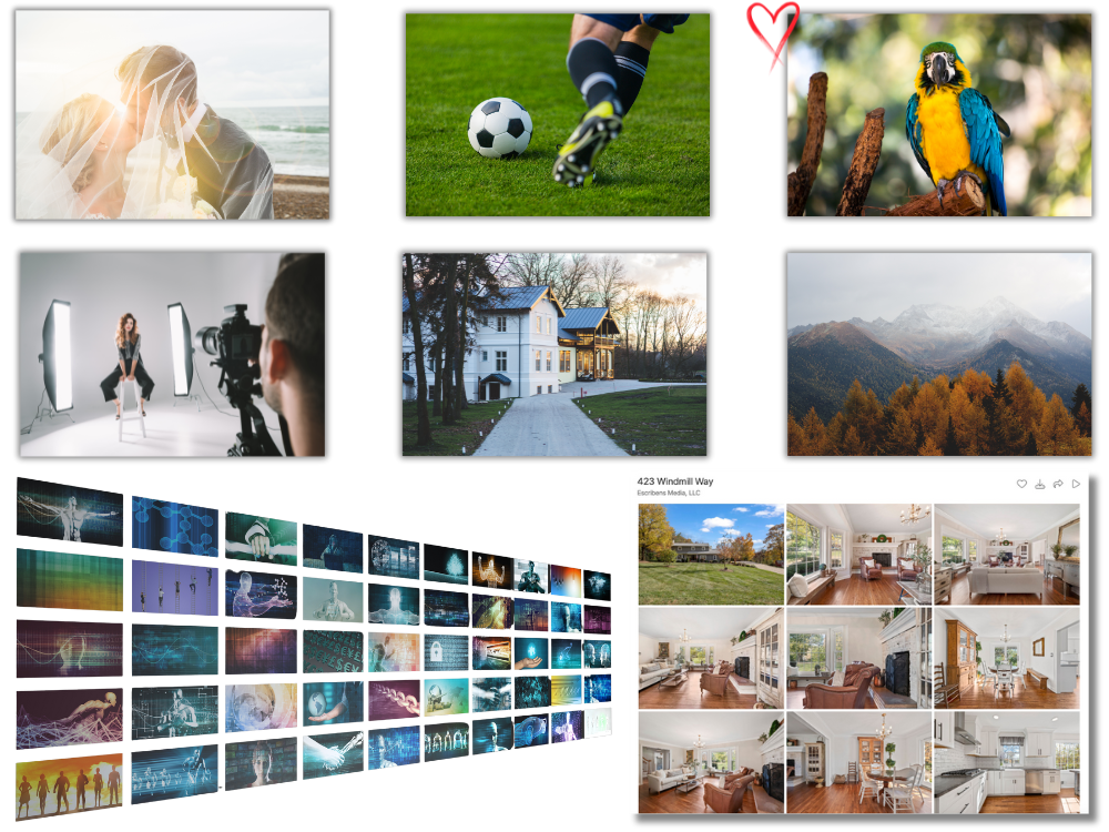 Main client gallery image