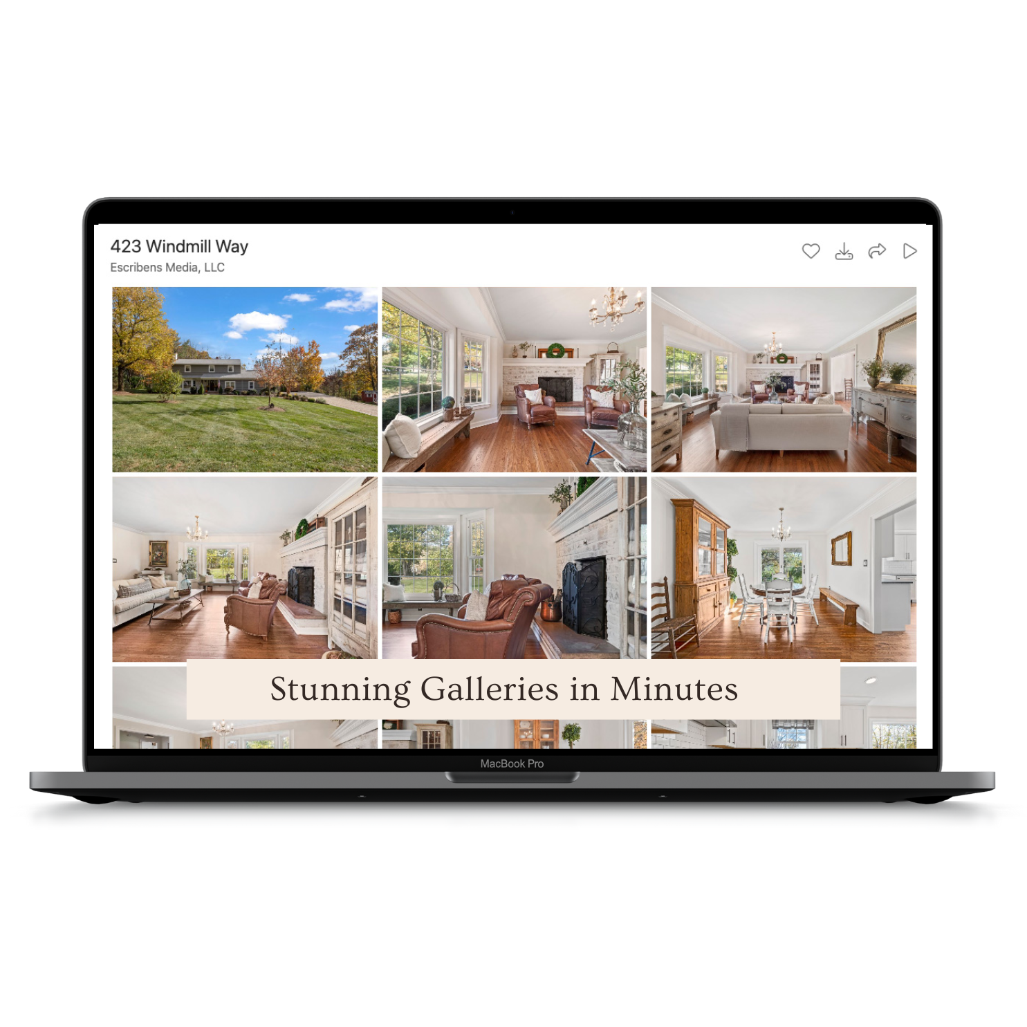 Main client gallery image