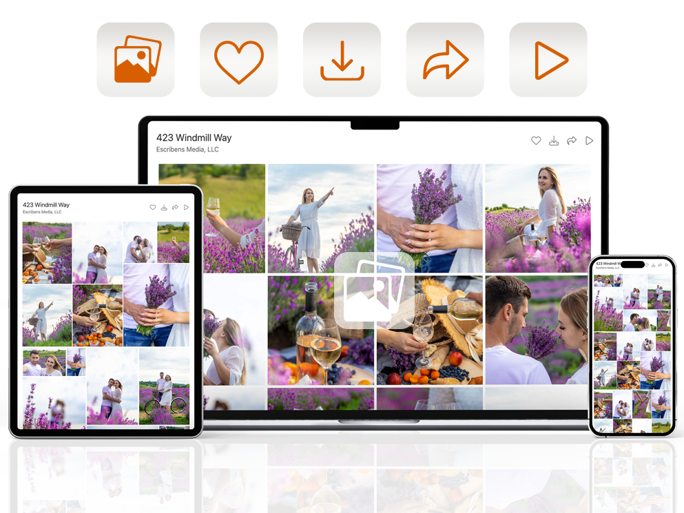 Main client gallery image